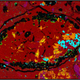 Tremolite, bright orange here, could only be formed in a very large parent asteroid.